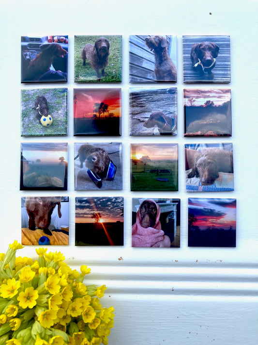 Magnets photo personnalisés pour souvenirs uniques