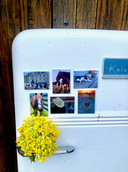 Magnets photo personnalisés avec animaux de compagnie