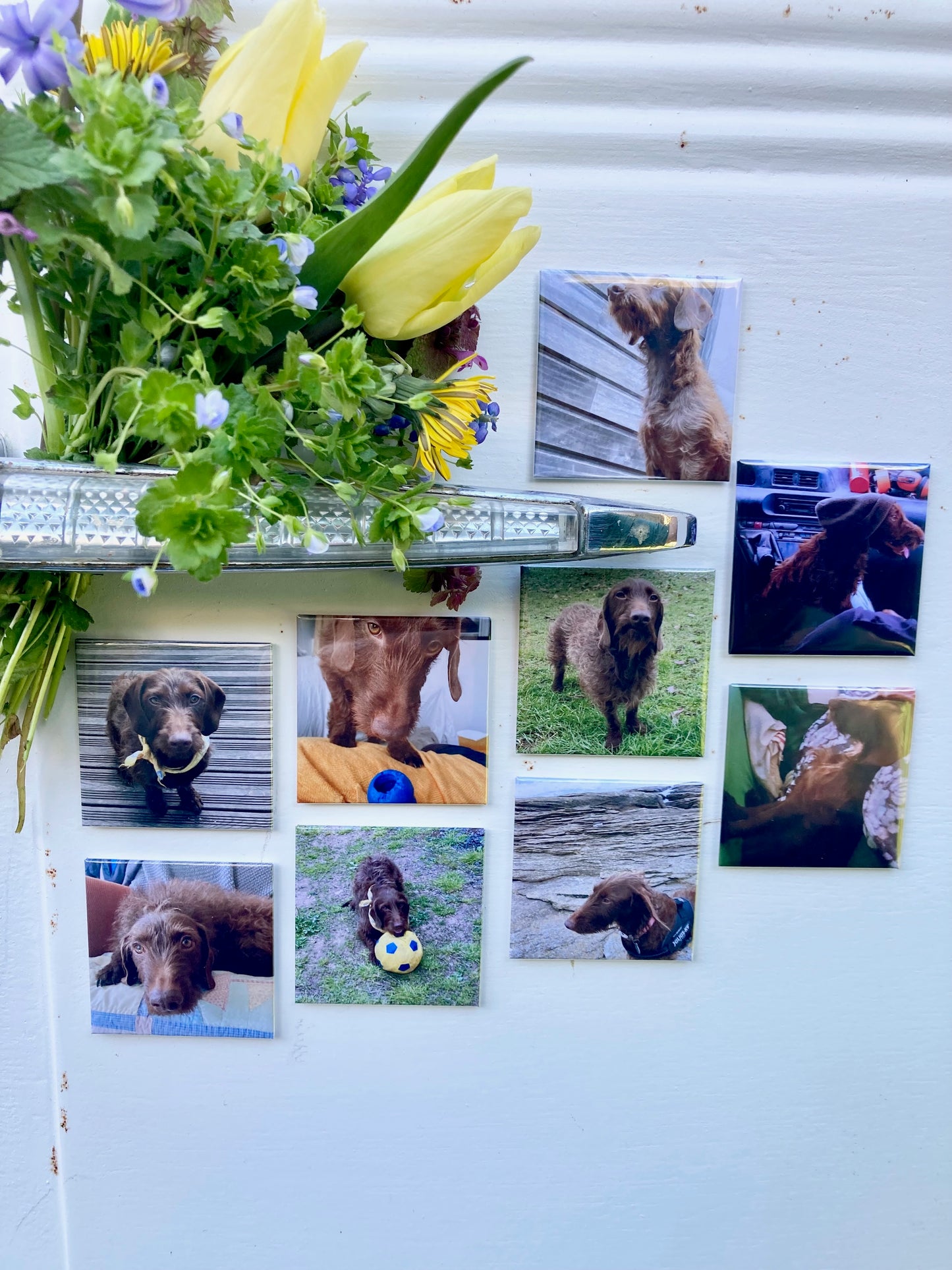 Magnet photo personnalisé avec image chien