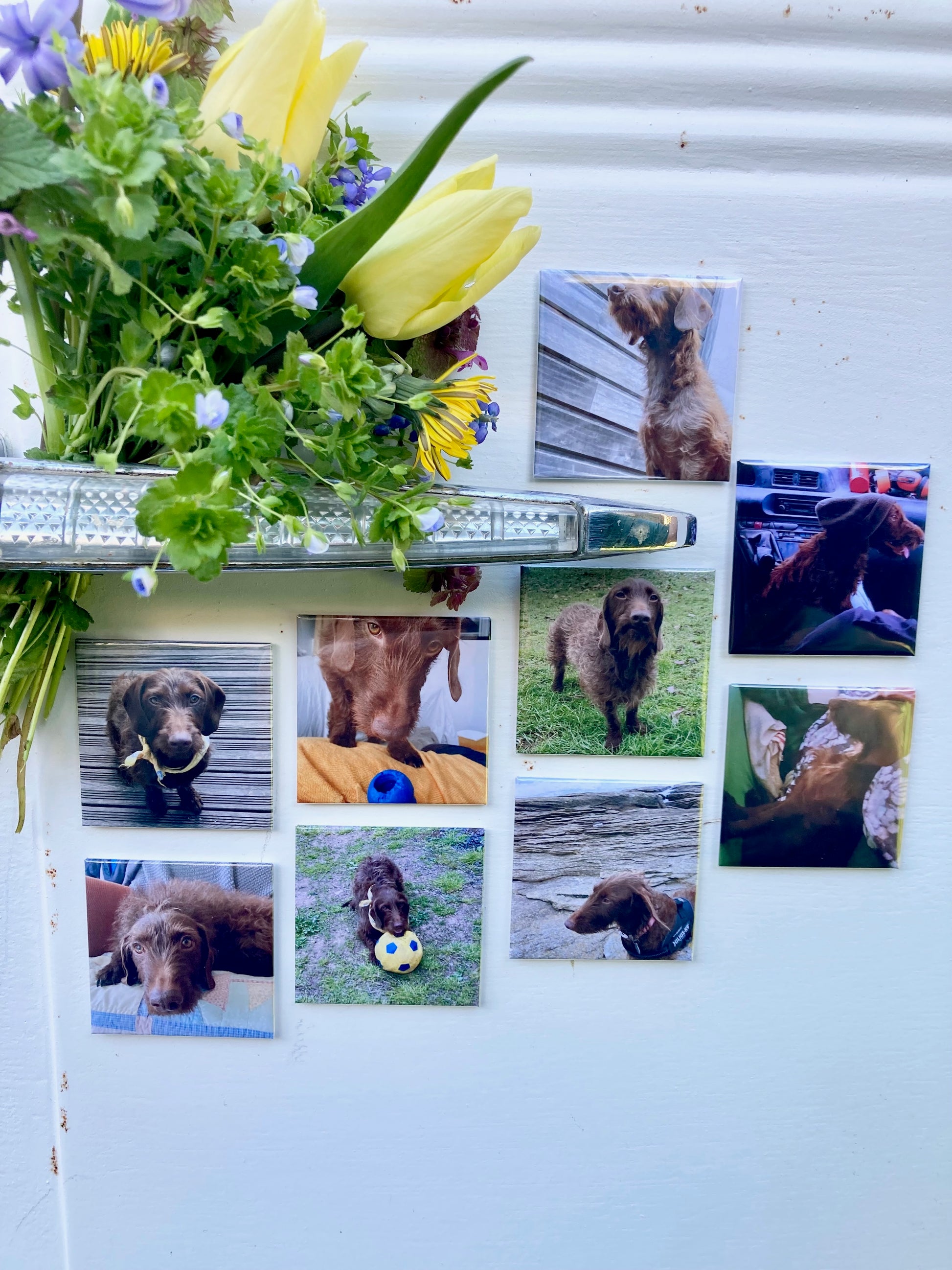Magnet photo personnalisé avec image chien