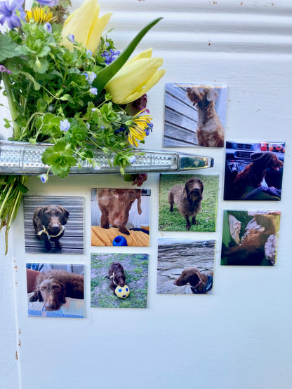 Magnet photo personnalisé avec image chien